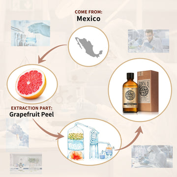 Coffee Essential Oil AKARZ Natural And Pure (30ML 100ML )